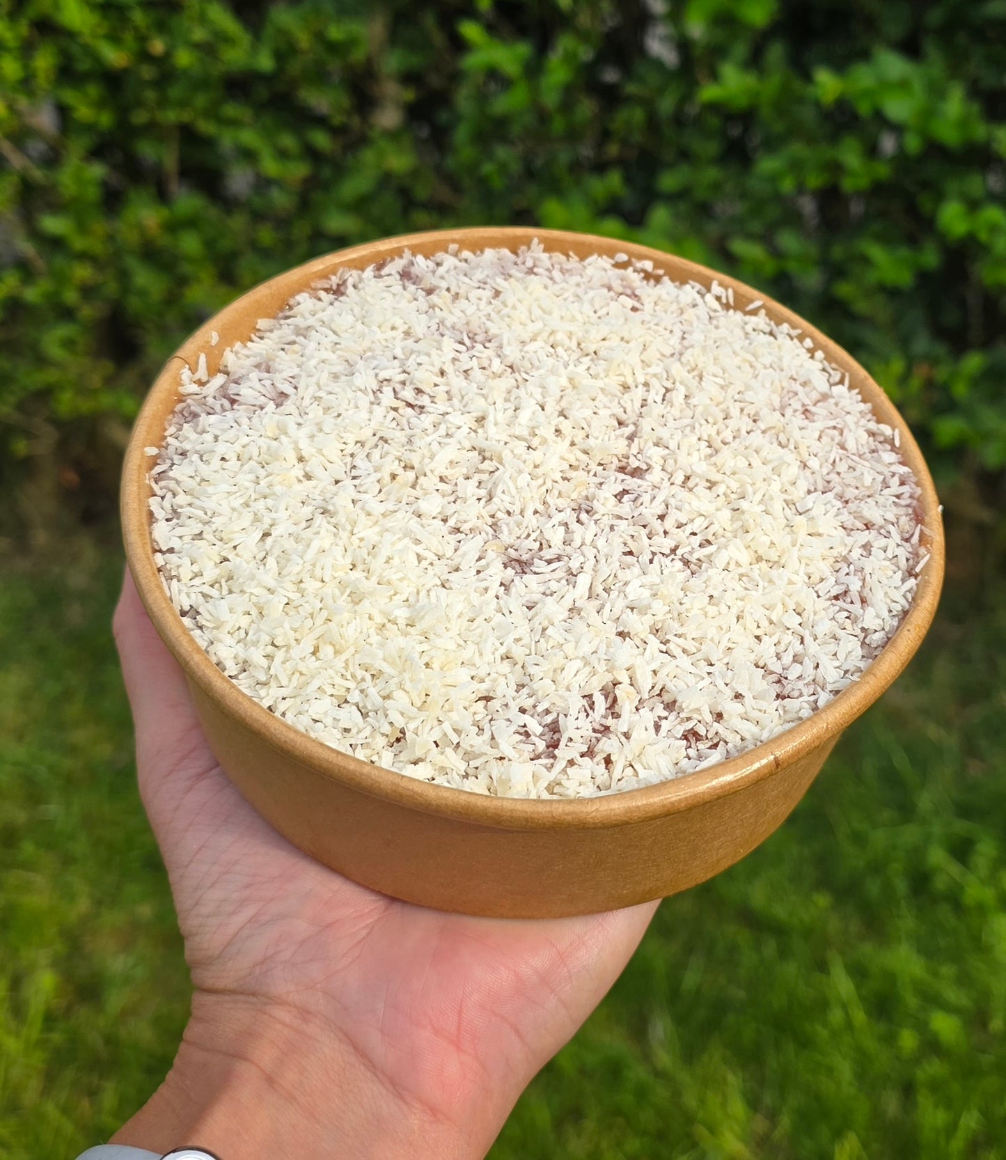 Jam & Coconut Sponge