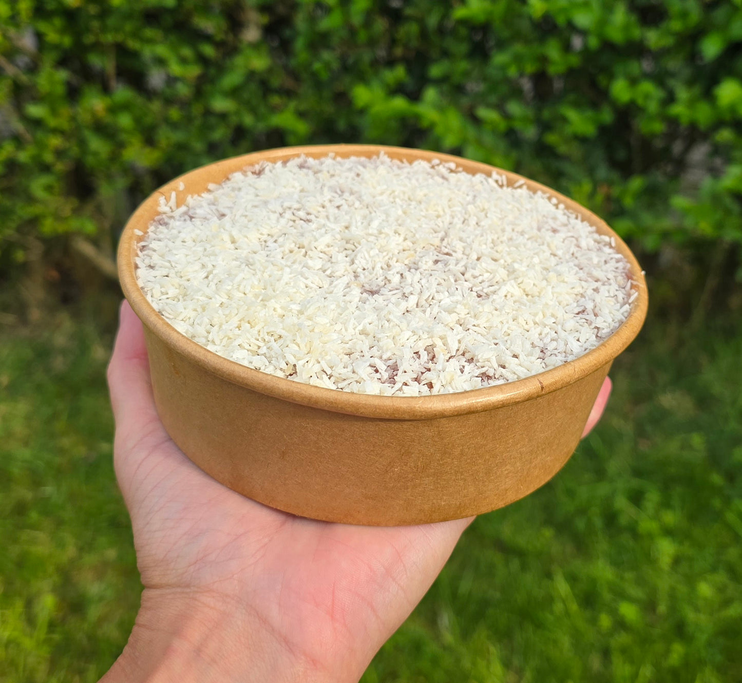 Jam & Coconut Sponge